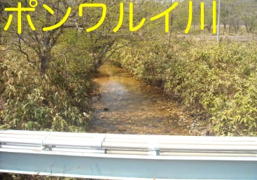 river_pongwarui
