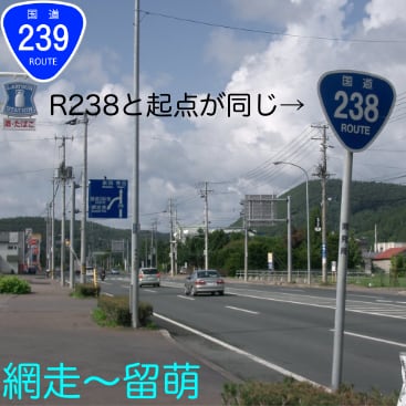 route_239